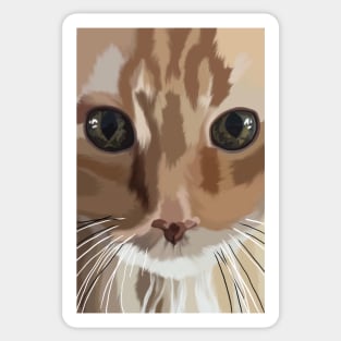 A Cat's Stare Sticker